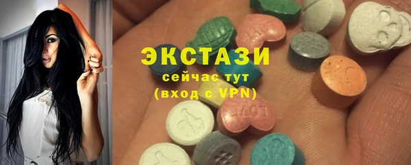 индика Богородск