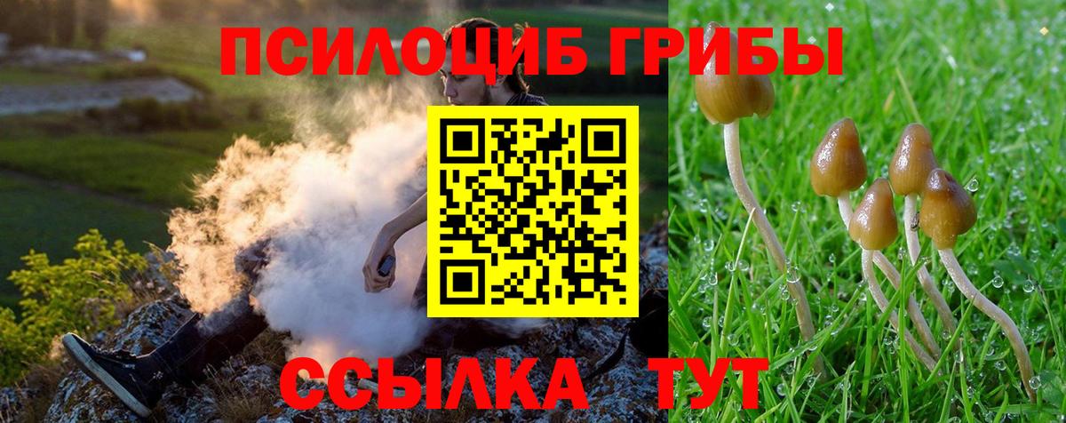 Верхняя Салда  Галлюциногенные грибы Psilocybine cubensis  Вход с VPN 